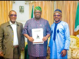 Gov. Mutfwang of Plateau Emerges Leadership Newspaper Governor of the Year 2026